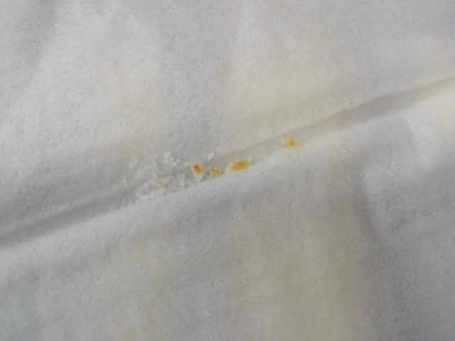 アイハーブのMRMのMSMクリスタルにあったオレンジ色の粒