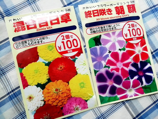 １００均ダイソーの花の種 2個で100円の朝顔と百日草