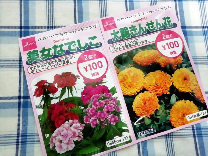 １００均ダイソーの秋蒔き花の種 2個で100円 美女なでしこと大輪きんせん花